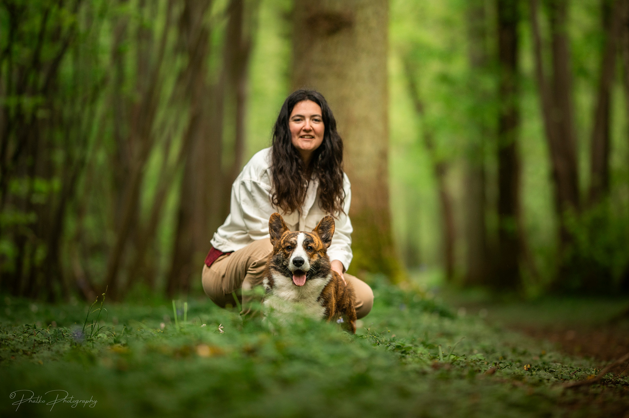 promeneur canin bienveillant avec un chien en forêt