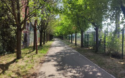 Les meilleurs balades à faire avec son chien à Bondy